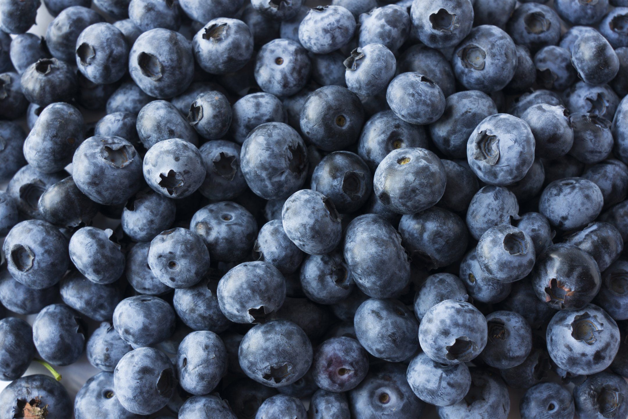 Blueberry