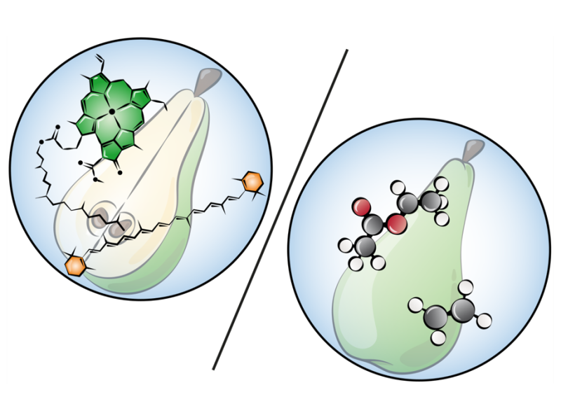 Omics