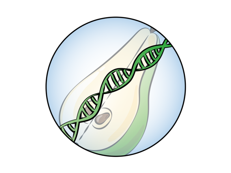 Omics